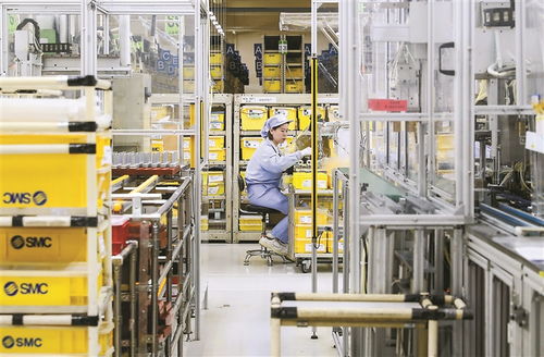 深度關(guān)注丨中國市場的磁吸力 數(shù)據(jù)處理服務(wù)的崛起與前景